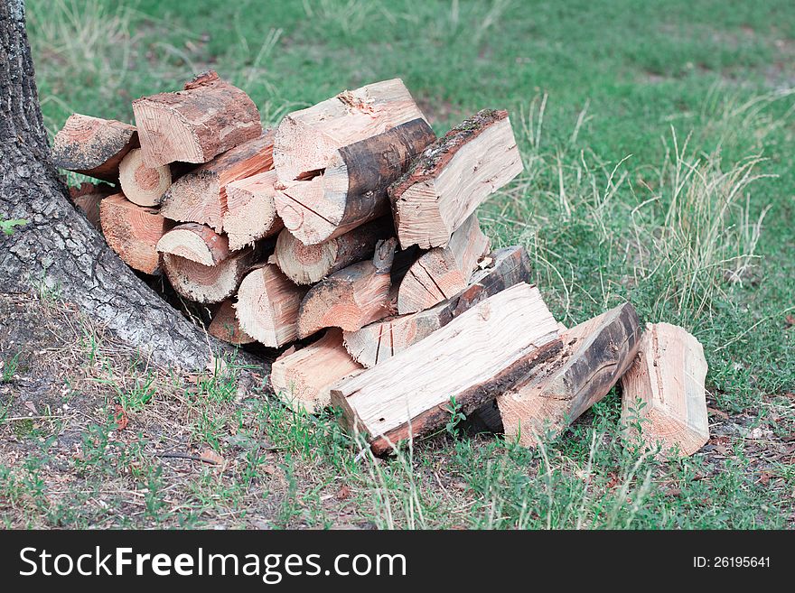 Fire woods in the garden on a grass