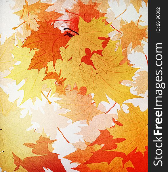 Colorful autumn maple leaves on grunge background. Colorful autumn maple leaves on grunge background.