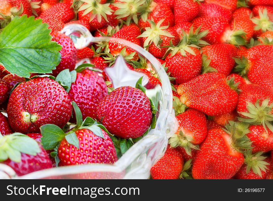 Lots of fresh strawberries in a glass bowl. Lots of fresh strawberries in a glass bowl