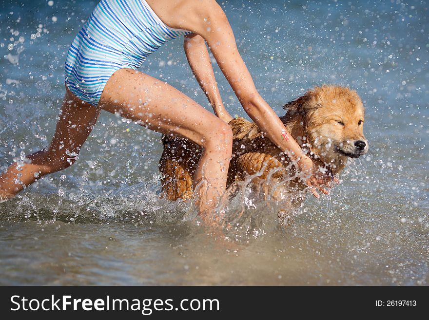 Cute young girl plays with an Elo (German dog breed) puppy frolic in the sea water. Cute young girl plays with an Elo (German dog breed) puppy frolic in the sea water
