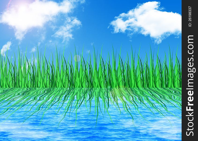 Grass reflected in water