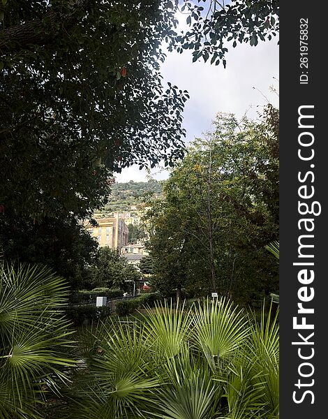 Buildings On A Cliff Framed By Palms And Trees Of A Park