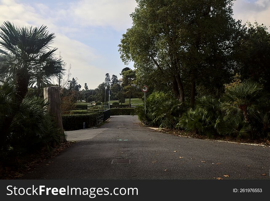 Path with a small bridge at the end of in a park on a cloudy day