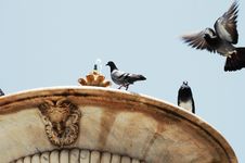 Doves And Fountain Stock Image Doves And Fountain Stock Image
