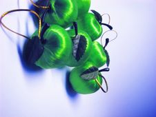 Christmas Apples Stock Image Christmas Apples Stock Image