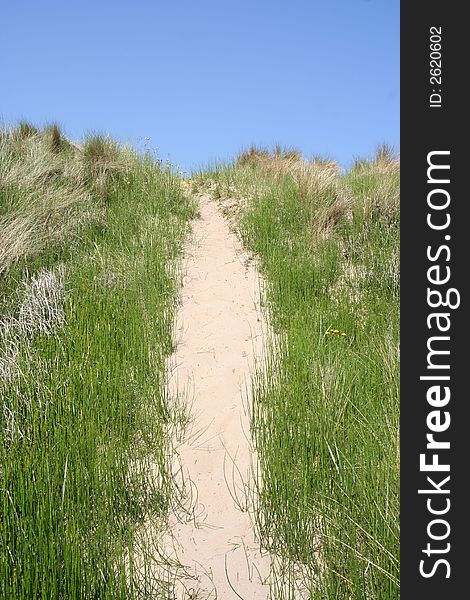 Sand path leading up through the dunes. Sand path leading up through the dunes