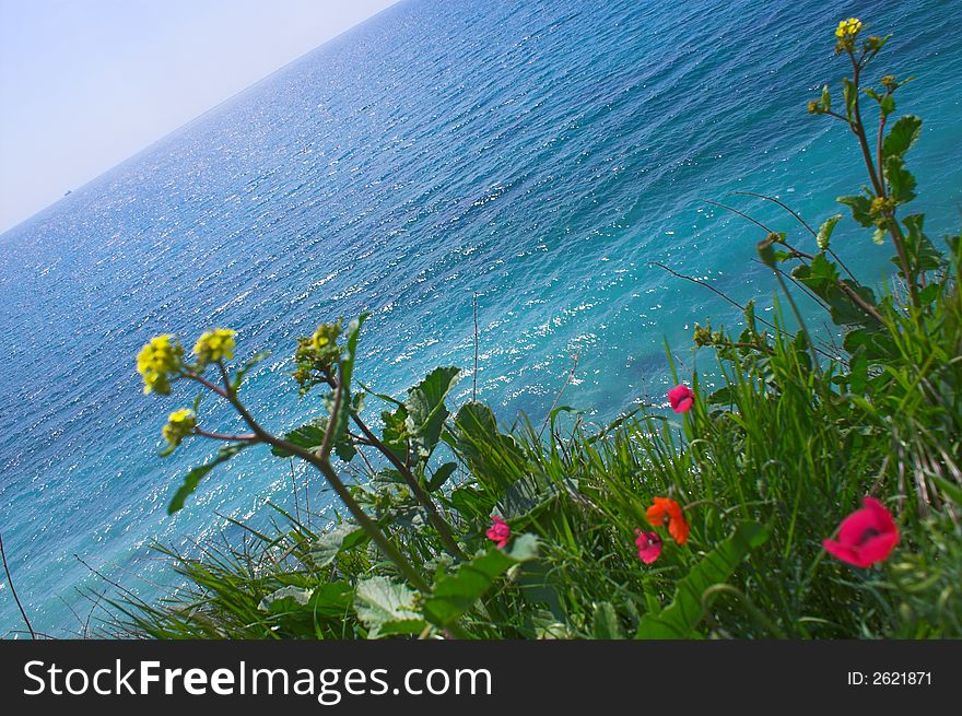 Kind on the sea behind a field. Kind on the sea behind a field