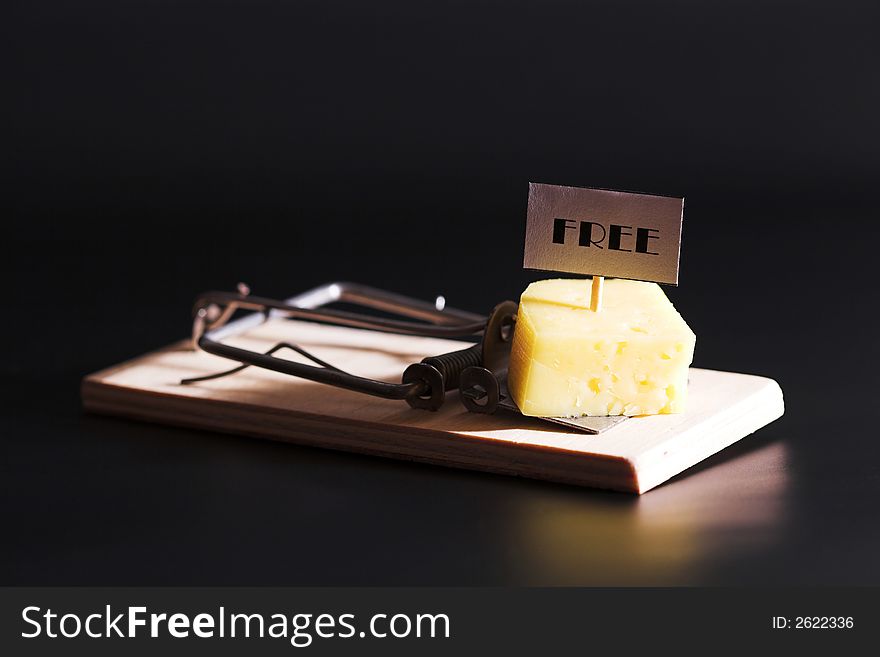 Free cheese in ...(5)