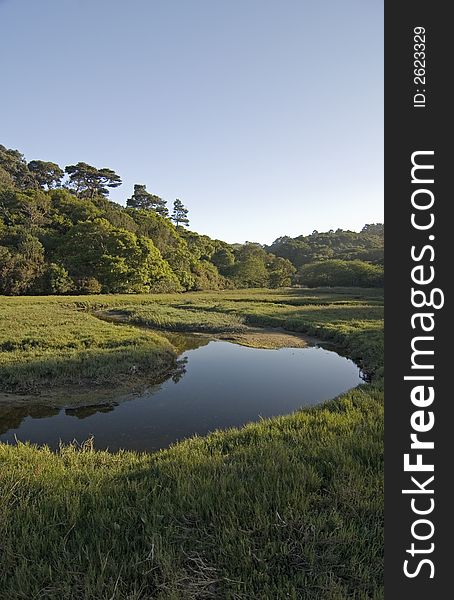 Tomales bay state park, California