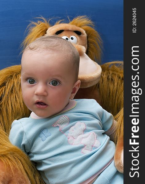 Curious baby boy look and stuffed monkey toy. Curious baby boy look and stuffed monkey toy