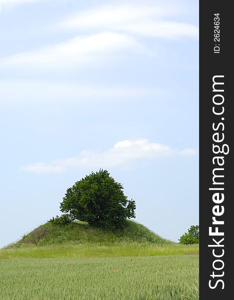 Tree on small hill with blue and cloudy sky