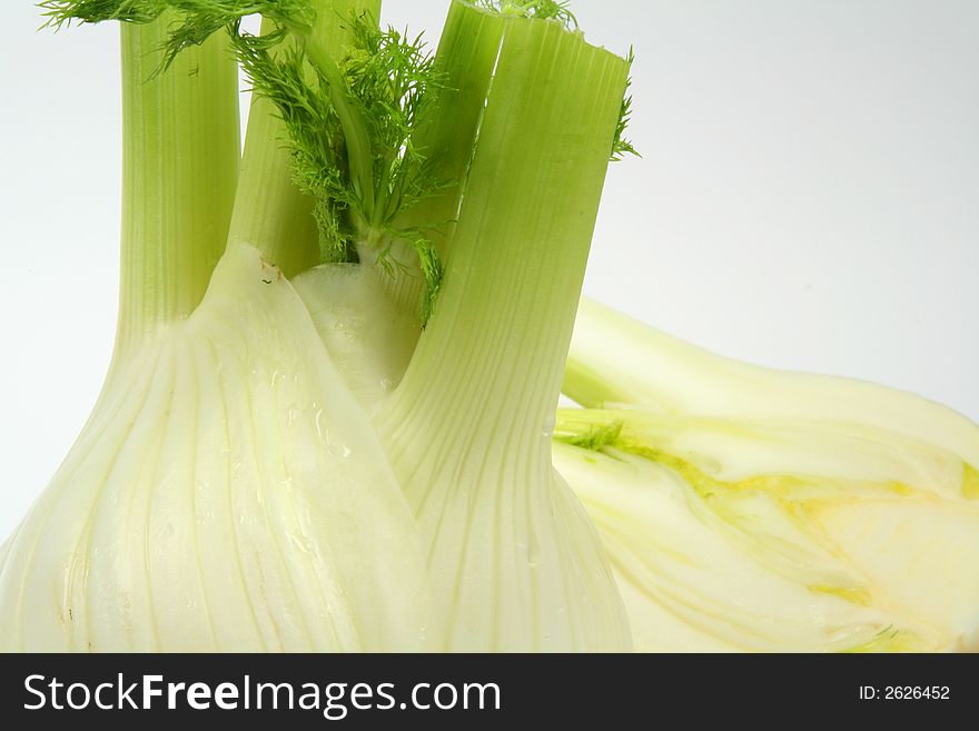 Fresh fennel on white background. Fresh fennel on white background