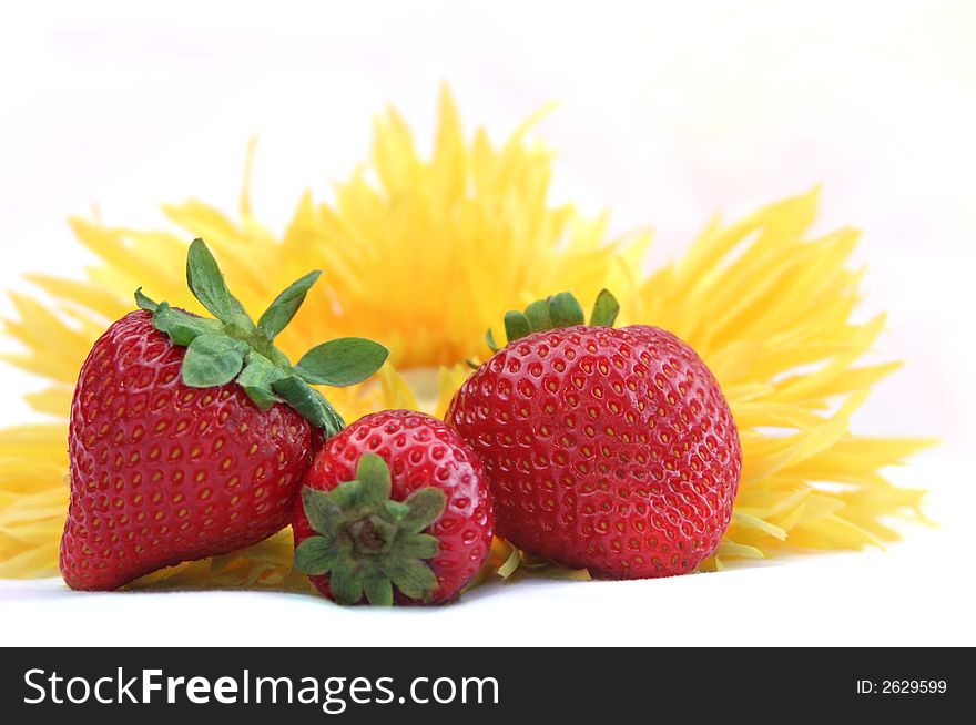 Fresh strawberries and bright sunflower against a white background. Fresh strawberries and bright sunflower against a white background.