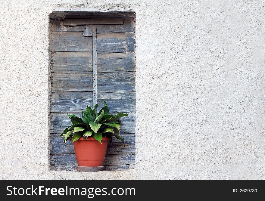 Image shows the window of an abandoned old Greek house been decorated with a plant pot. Image shows the window of an abandoned old Greek house been decorated with a plant pot