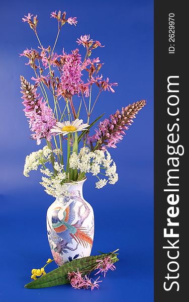 The bouquet of field colors costs in a vase on a dark blue background