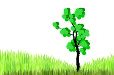 Tree And Green Grasses Royalty Free Stock Photo Tree And Green Grasses Royalty Free Stock Photo