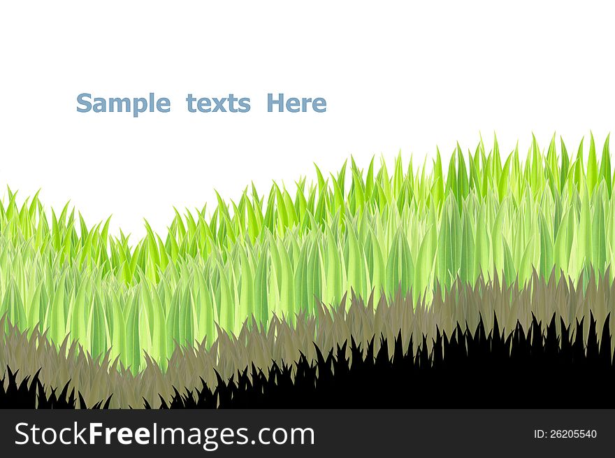 Green grasses on white background