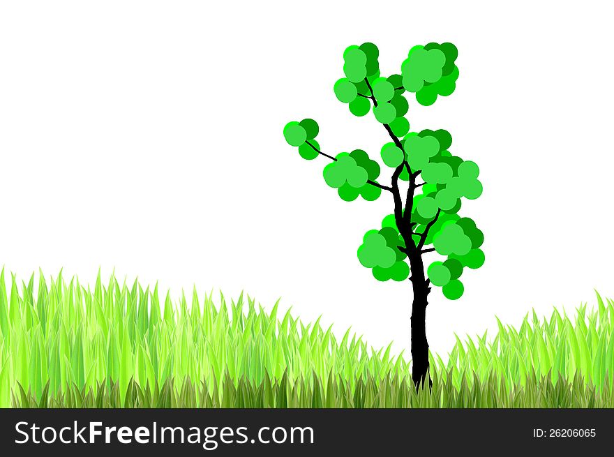 The tree  and  green grasses on white background