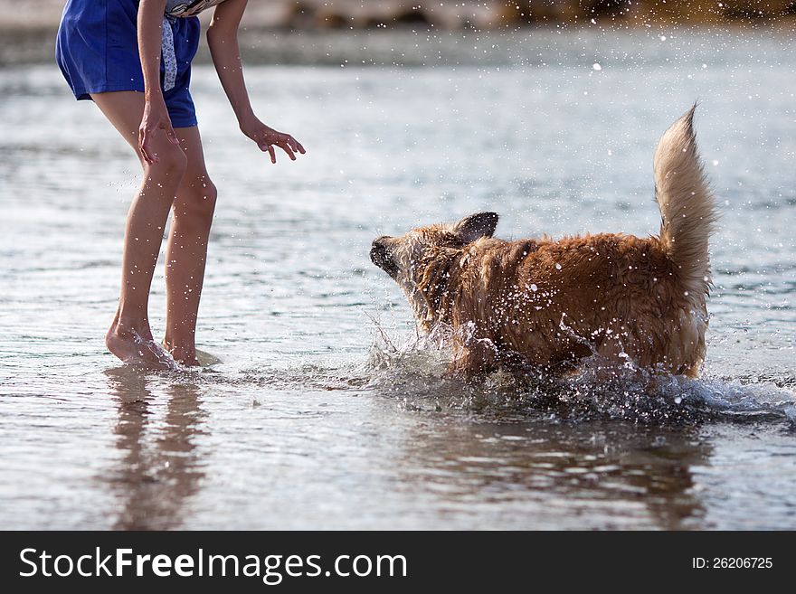 Cute Elo (German dog breed) puppy shakes off the water in front of a young girl. Cute Elo (German dog breed) puppy shakes off the water in front of a young girl