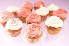 Cupcakes Royalty Free Stock Images Cupcakes Royalty Free Stock Images