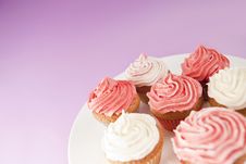 Cupcakes Royalty Free Stock Image Cupcakes Royalty Free Stock Image