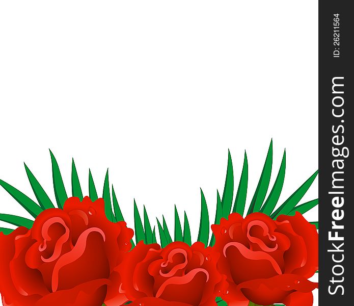 Background Of Red Rose Petals.