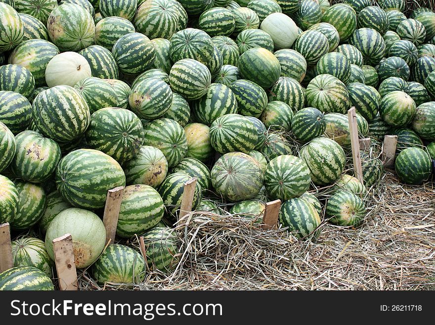 Many watermelons for abstract background