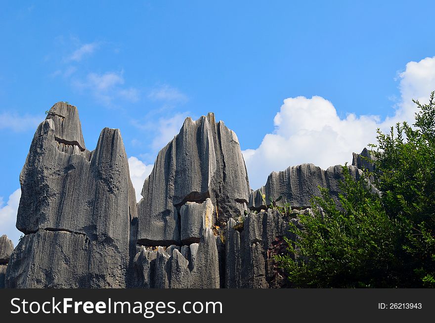 Stone forest in Yunnan Province, China。This is a rare type of karst topography。Chinas largest stone forest karst landforms.