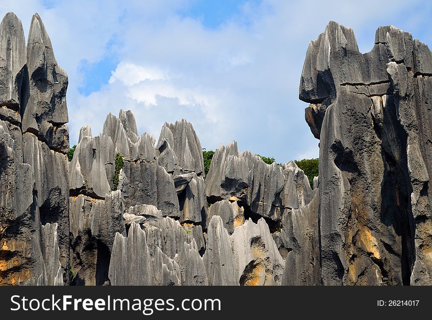 Stone forest in Yunnan Province, China。This is a rare type of karst topography。China's largest stone forest karst landforms. Stone forest in Yunnan Province, China。This is a rare type of karst topography。China's largest stone forest karst landforms.