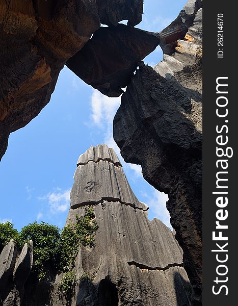 Tourism China Yunnan Kunming Stone-forest Stone Geological Geomorphology Blue-Sky Stone Standing Strong Landscape Geography Park UNESCO Miracle. Tourism China Yunnan Kunming Stone-forest Stone Geological Geomorphology Blue-Sky Stone Standing Strong Landscape Geography Park UNESCO Miracle