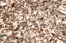 Closeup Of A Pile With Woodchips Royalty Free Stock Images