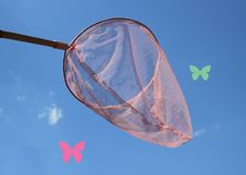 Butterfly Net Stock Photo Butterfly Net Stock Photo
