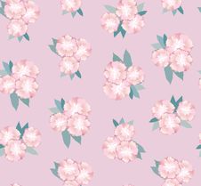 Seamless Texture With Gentle Pink Flowers Stock Photography