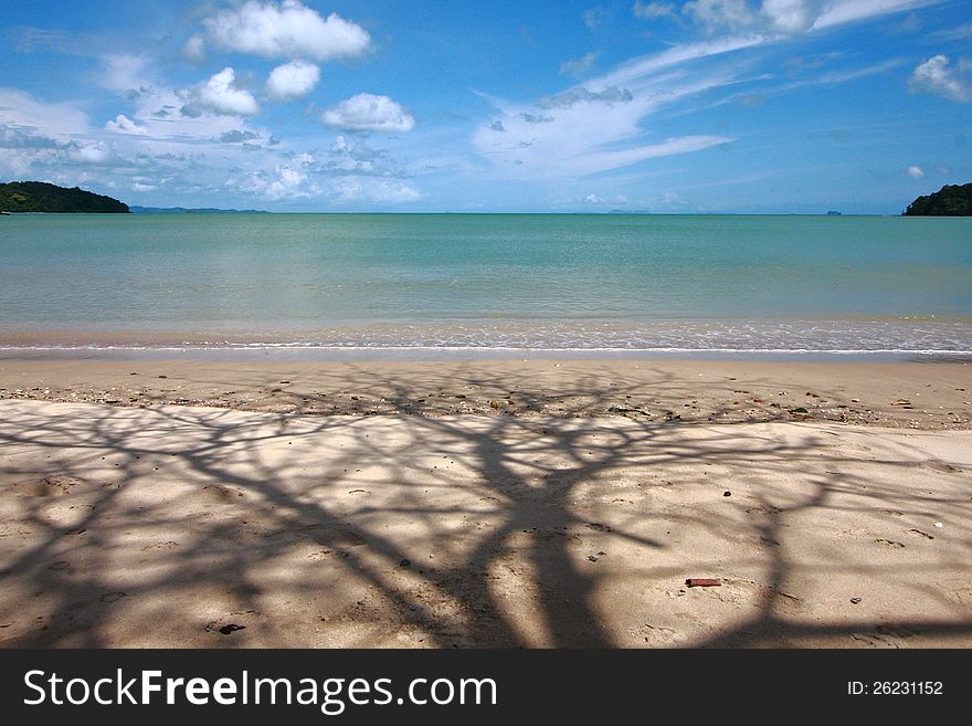 Shadow tree and beach