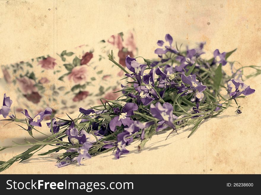 Beautiful vintage background with blooming lobelias. Beautiful vintage background with blooming lobelias