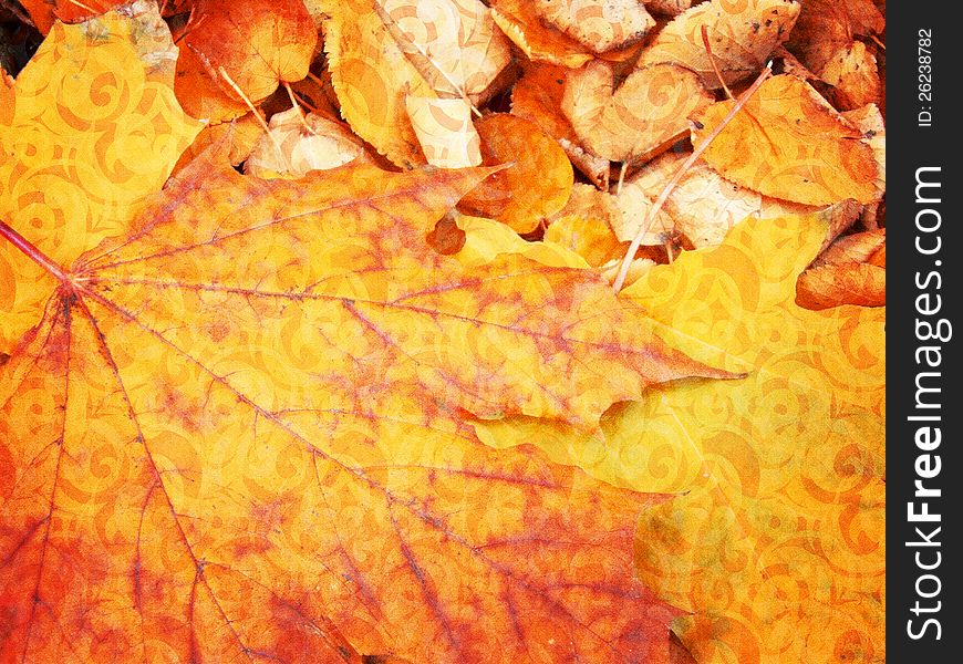 Abstract textured colorful autumn leaves background, texture.