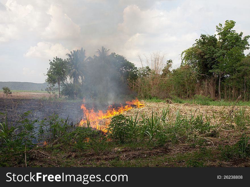 Fire Burning Dried Grass Field