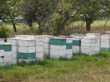 Close-up Of Beehives In A Pasture. Royalty Free Stock Images Close-up Of Beehives In A Pasture. Royalty Free Stock Images