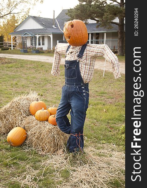 A halloween pumpkin on top of of scare crow. It is standing in bales of hay and pumpkins. a house is in the background. A halloween pumpkin on top of of scare crow. It is standing in bales of hay and pumpkins. a house is in the background