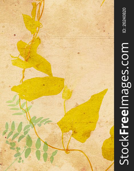 Beautiful vintage background with autumnal leaves