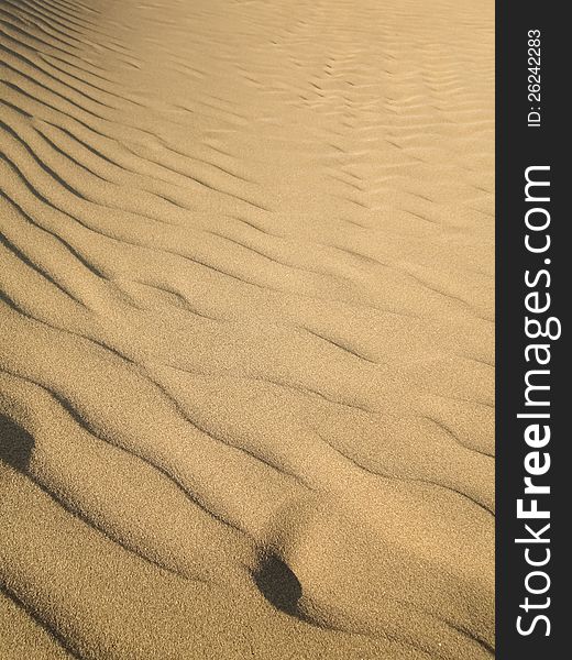 Desert - Dunes - Sandy landscape / terrain. Desert - Dunes - Sandy landscape / terrain