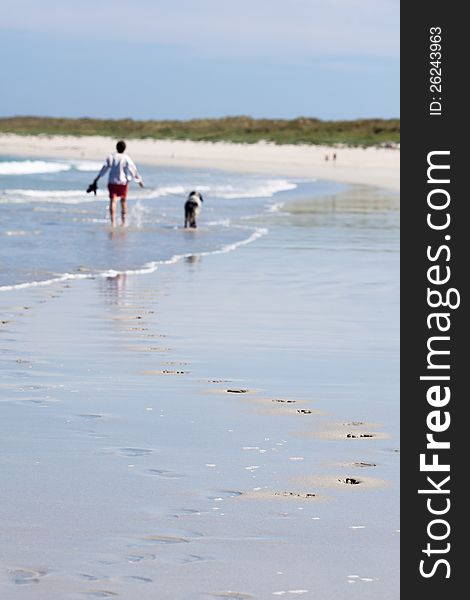 At the beach a man walks a dog in the background