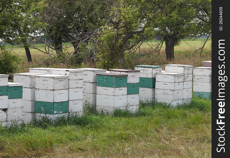 Close-up Of Beehives In A Pasture.