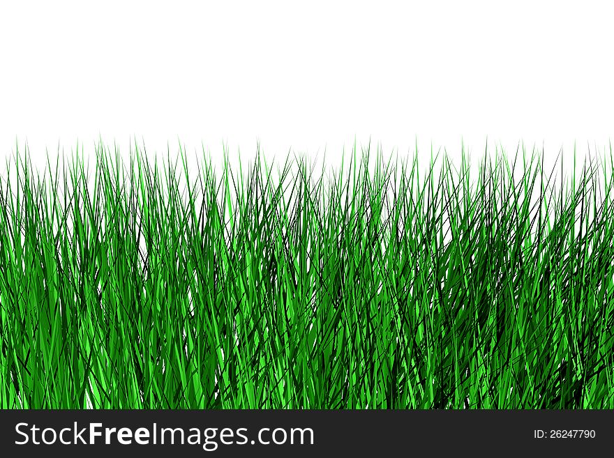 High meadow grass on a white