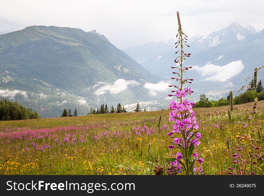 Alps, France &x28;near Col de Voza&x29; - Panorama