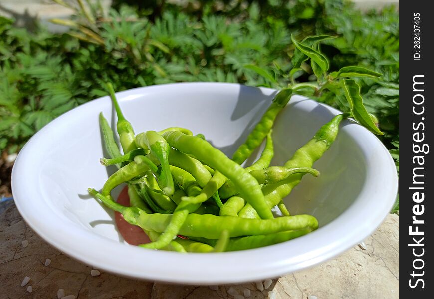 green chili in bowl,herb