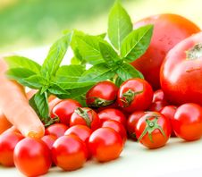 Cherry Tomatoes And Tomatoes Royalty Free Stock Photography Cherry Tomatoes And Tomatoes Royalty Free Stock Photography