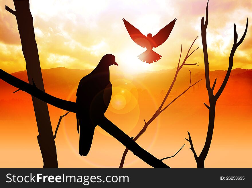 Silhouette of birds at sunrise. Silhouette of birds at sunrise