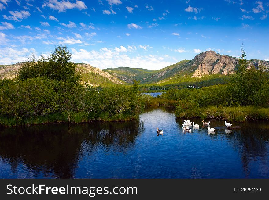 Mountain Landscape With Geese