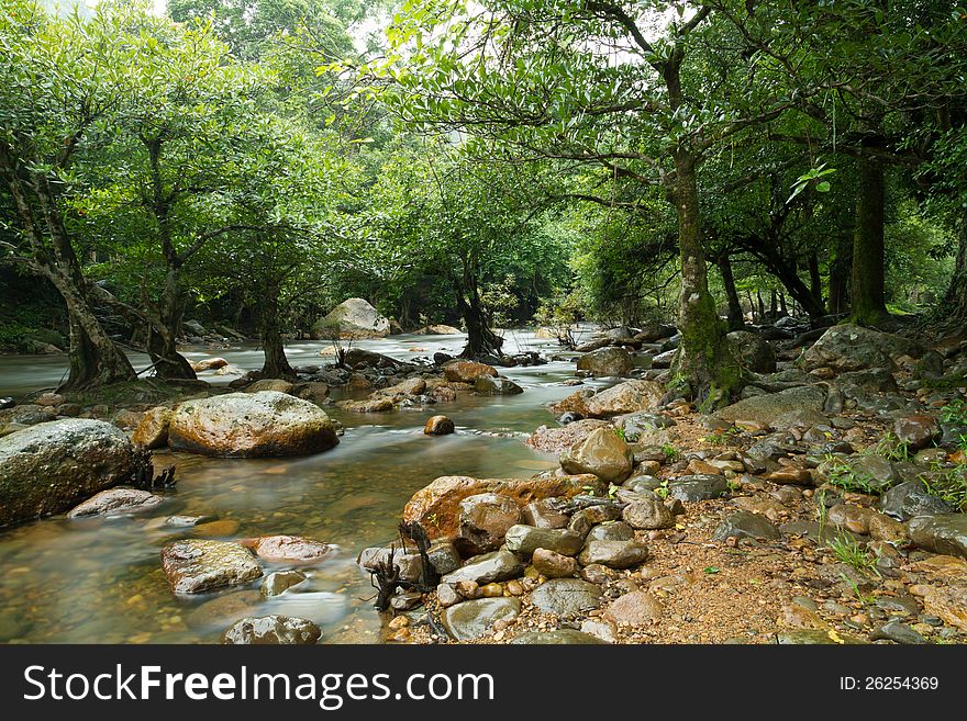 Water stream in forest on rainy season. Water stream in forest on rainy season